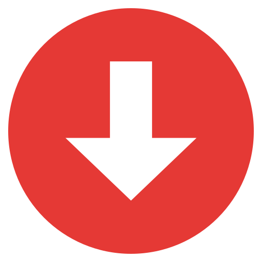 FreeDMR Bridge Server